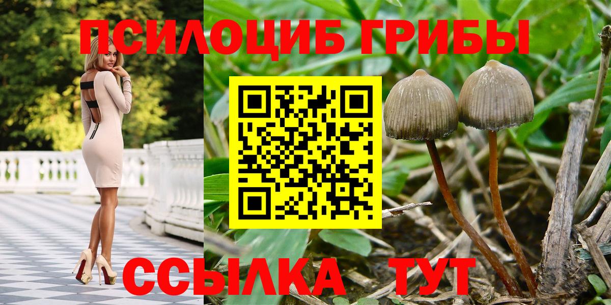 Галлюциногенные грибы мухоморы Евпатория