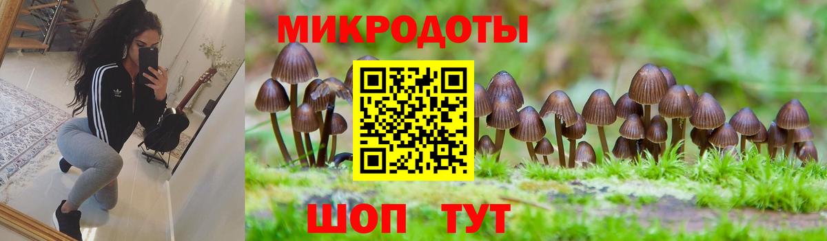 Галлюциногенные грибы Psilocybe  Вход с VPN  Евпатория 